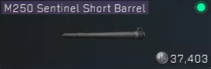 Delta Force Best Attachments: M250 Sentinel Short Barrel - zilliongamer