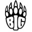 BIG CSGO Logo | Blast Spring Groups 2022 - zilliongamer