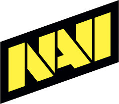 Dota 2 Natus Vincere Logo - zilliongamer 