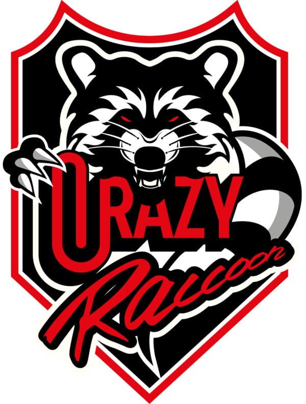 Valorant Champions JP Team: Crazy Raccoon - ziiliongamer