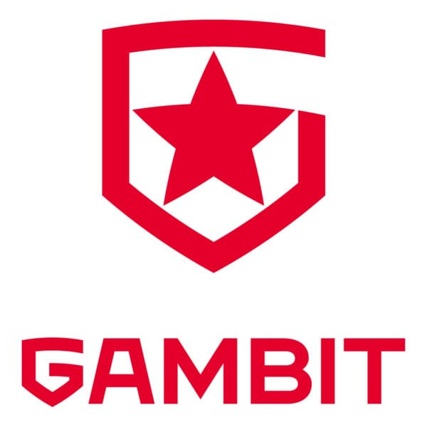 Valorant Champions EMEA Team: Gambit - ziiliongamer