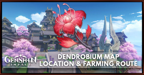 Dendrobium Location Map & Farm Route | Genshin Impact