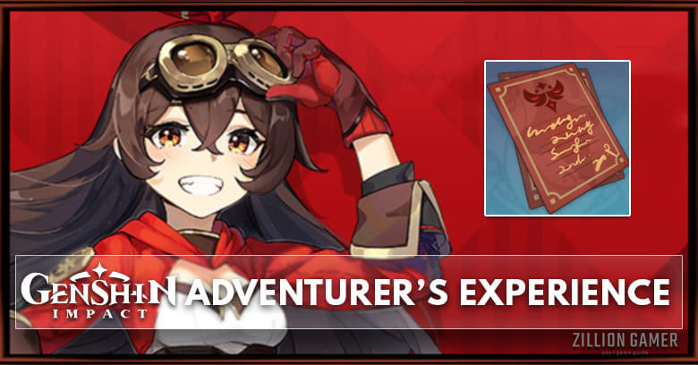 Adventurer's Experience