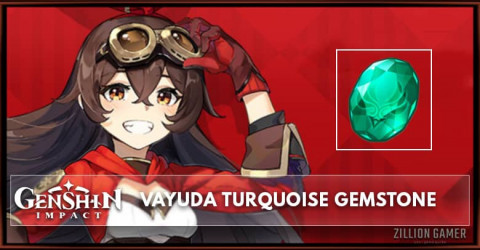 Vayuda Turquoise Gemstone