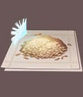 Genshin Impact Dandelion Seed - zilliongamer