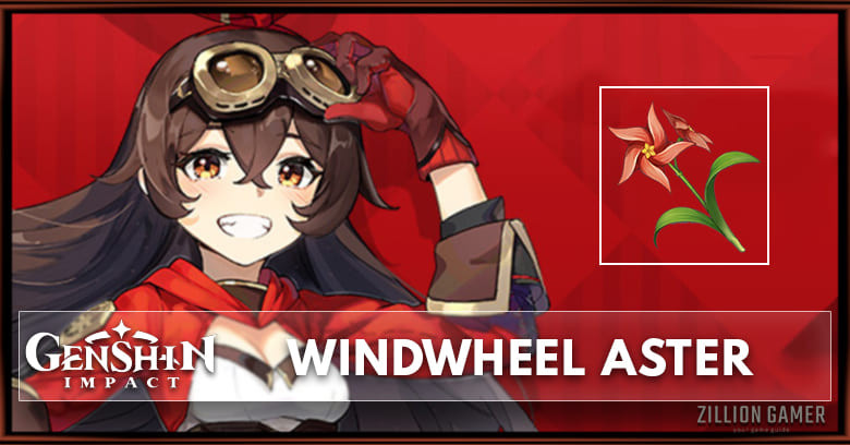 Windwheel Aster
