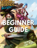 Beginner Guide