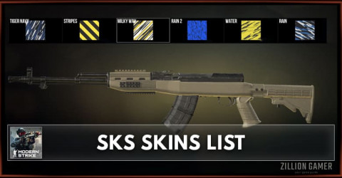 Modern Strike Online SKS Skins List