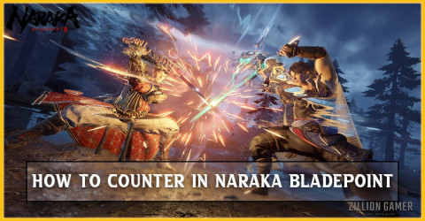 Naraka bladepoint How to Counter