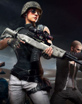 Auto Sniper Rifles (DMR)