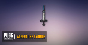 Adrenaline Syringes