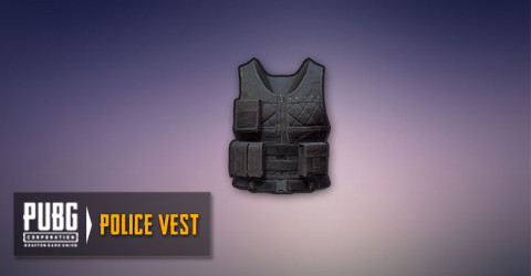 Police Vest (Level 2)