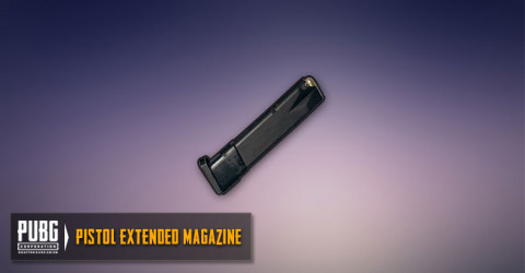 Extended Mag (Pistols)
