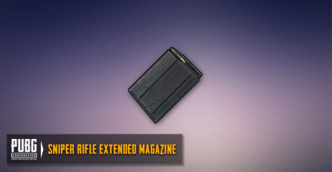 Extended Mag (SR,DMR)