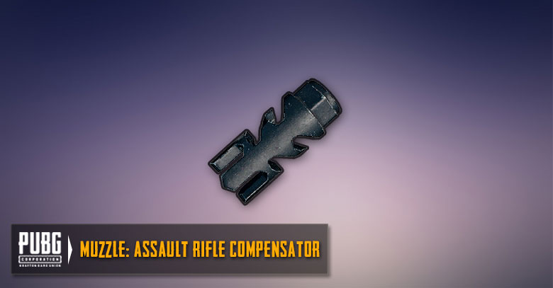Assault Rifles Compensator