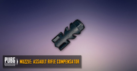 Assault Rifles Compensator