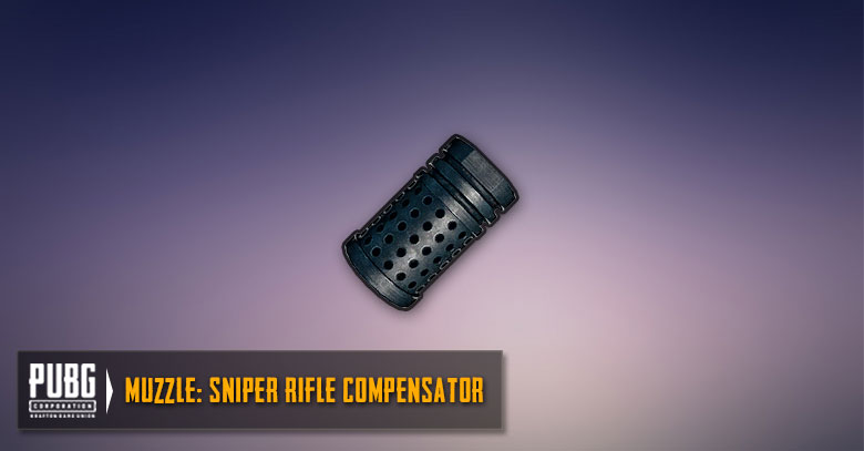Sniper Rifles Compensator