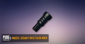 Assault Rifles Flash Hider