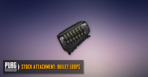 Bullet Loops (SR)