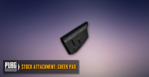 Cheek Pad (SR,DMR)