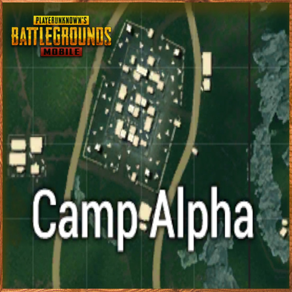 Camp alpha