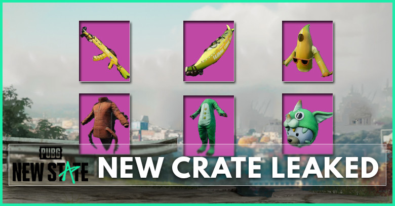 New Crate Leaked | PUBG New State