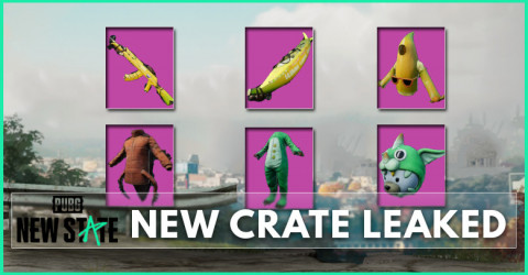 New Crate Leaked | PUBG New State