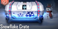 SnowFlake Crate | PUBG New State - zilliongamer