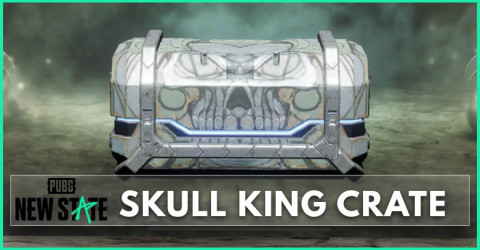 New Skull King Crate | PUBG New State
