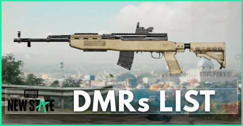 Designated Marksman Rifles List | PUBG: New State