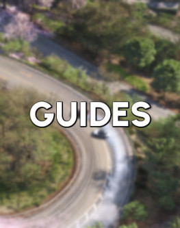 Guides