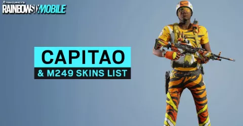 Capitao & M249 Skins List