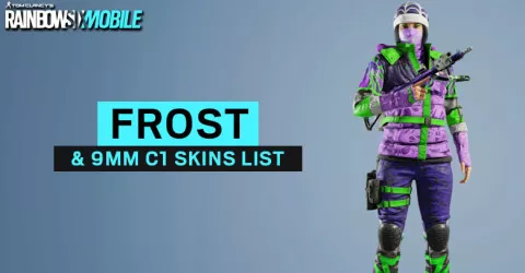 Frost & 9MM C1 Skins List