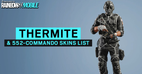 Thermite & 552-COMMANDO Skins List