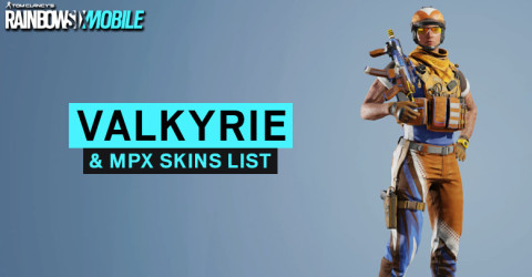 Valkyrie & MPX Skins List