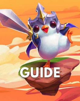 Guide
