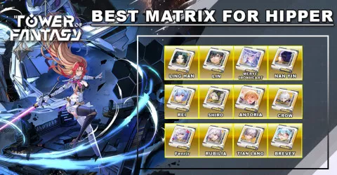 Best Matrix For Hipper | Tower of Fantasy