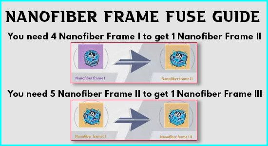 Nanofiber Frame Fuse Guide - zilliongamer