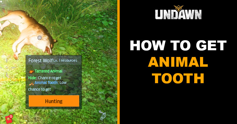 How to Get Animal Tooth in Undawn