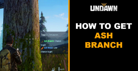 How to Get Ash Branch in Undawn