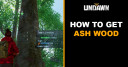 How to Get Ash Wood in Undawn