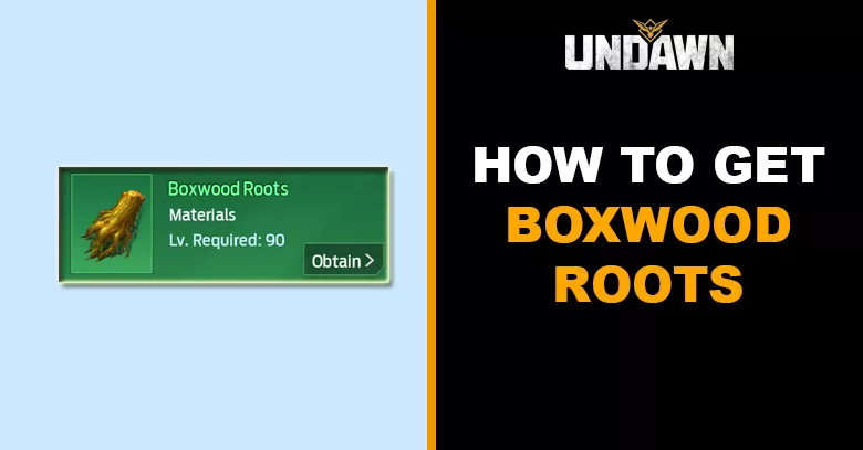 How to Get Boxwood Roots in Undawn