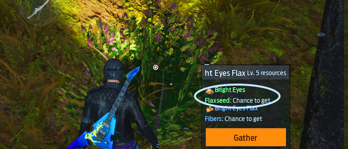 How to Get Bright Eyes Flaxseed in Undawn