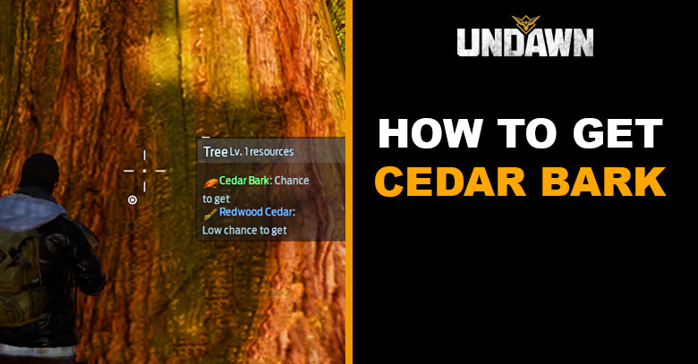 How to Get Cedar Bark in Undawn
