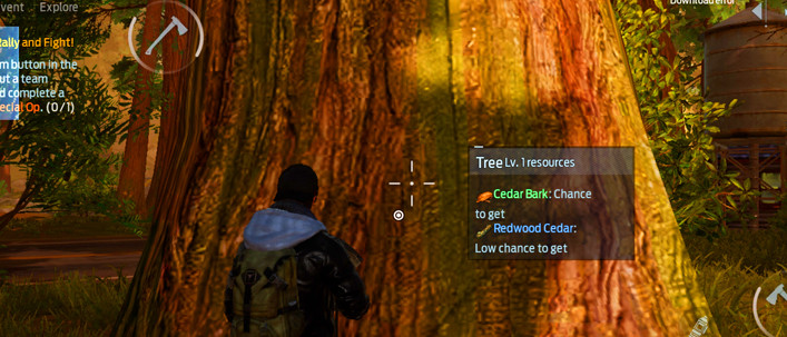 How to Get Cedar Bark in Undawn