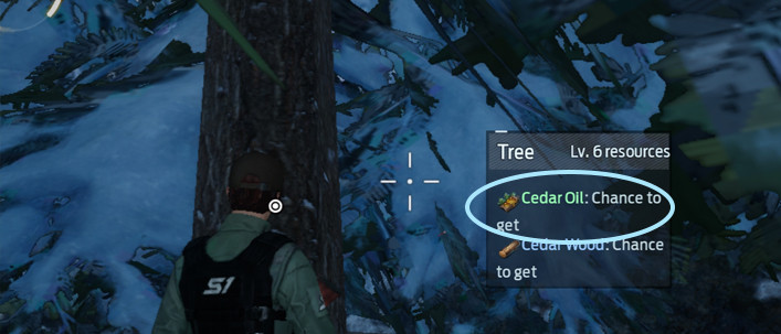 How to Get Cedar Oil in Undawn - zilliongamer