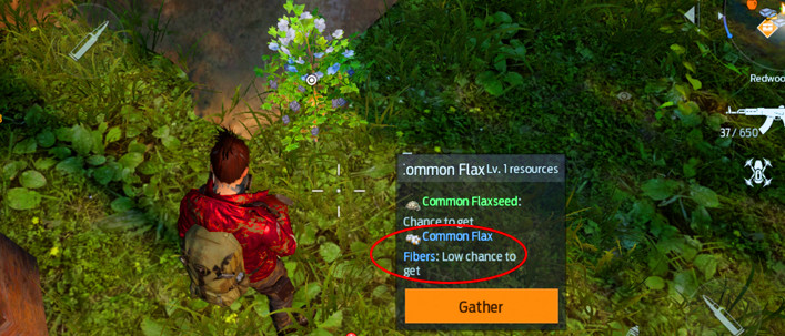 How to Get Common Flax Fibers in Undawn 