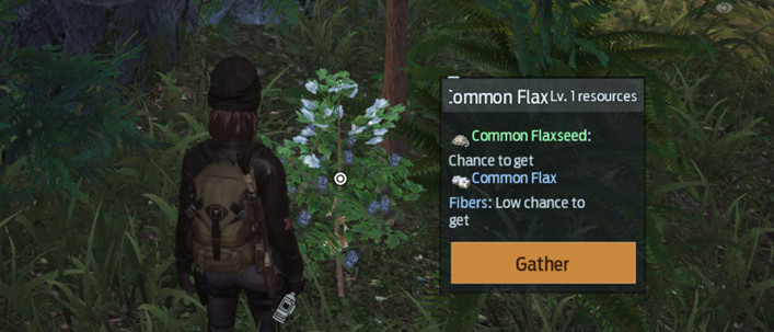 How to get Common Flaxseed in Undawn
