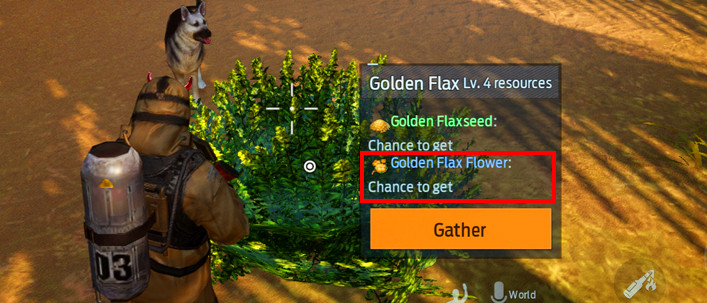 How to Get Golden Flax Flower in Undawn