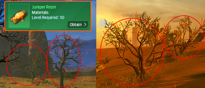 How to Spot Juniper Resin in Undawn